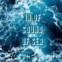 Orquesta Club Miranda - 1h of Sound of Sea