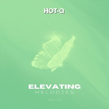 Various Artists - Elevating Melodies 005