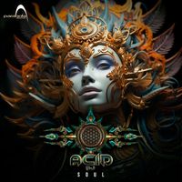 Acid DJ - Soul