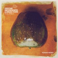 Groove Messengers & Dinah York - You And I (Ronan Remix)