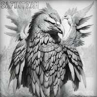 Safinteam - Message