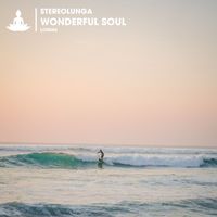 Stereolunga - Wonderful Soul