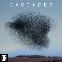 Janet Overfield - Cascades