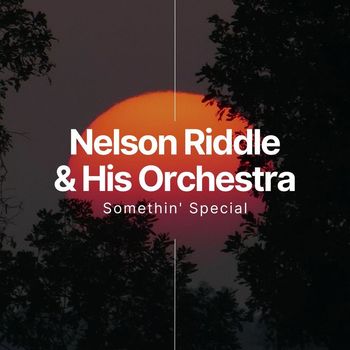 Nelson Riddle & His Orchestra - Somethin' Special