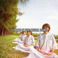 Brain Study Music Guys - 33 Tracks Of Pure Natural Sounds