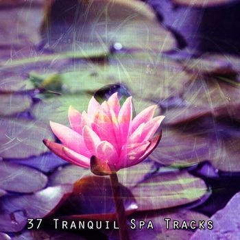 Lullabies for Deep Meditation - 37 Tranquil Spa Tracks
