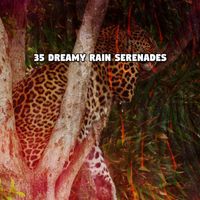 Rain Sounds Sleep - 35 Dreamy Rain Serenades