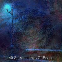 Brain Study Music Guys - 40 Surroundings Of Peace