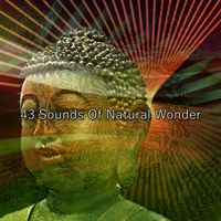 Lullabies for Deep Meditation - 43 Sounds Of Natural Wonder