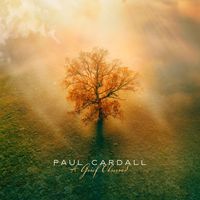 Paul Cardall - A Grief Observed