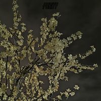 Purity - after fall