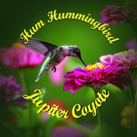 Jupiter Coyote - Hum Hummingbird