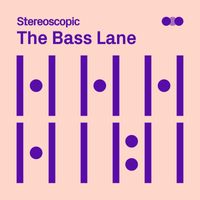 Vincent Perrot - The Bass Lane