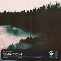 Flayword - Switch