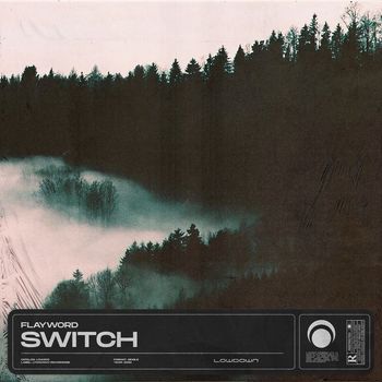 Flayword - Switch