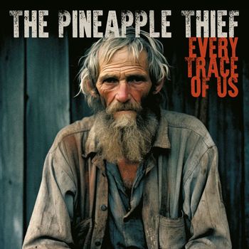 The Pineapple Thief - Every Trace Of Us