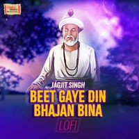 Jagjit Singh - Beet Gaye Din Bhajan Bina (LoFi)