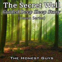The Honest Guys - The Secret Well. Guided Deep Sleep Story (Haven Series)