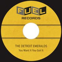 The Detroit Emeralds - You Want It You Got It