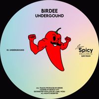 Birdee - Undergound