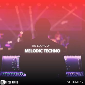 Various Artists - The Sound Of Melodic Techno, Vol. 17