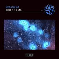 Sasha Sound - Night In The Rain