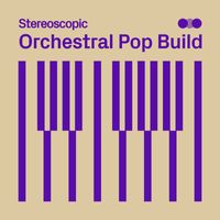 Thomas Frinking - Orchestral Pop Build