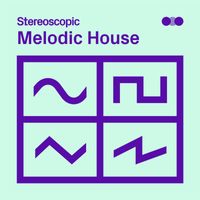 Vermair - Melodic House