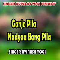 Avinash Yogi - Ganjo Pila Nadyaa Bang Pila