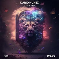 Dario Nunez - Is Like That