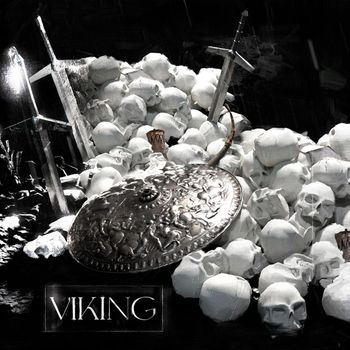 TAKESHI - VIKING