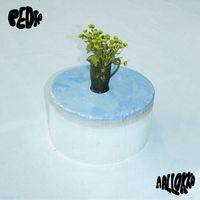 Pedro - Aallokko - EP