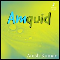 Anish Kumar - Amquid