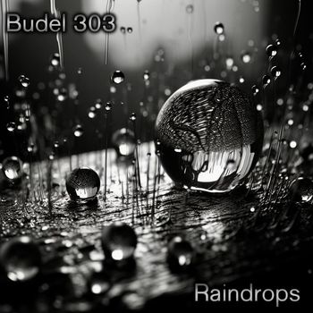 Budel 303 - Raindrops