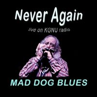 Mad Dog Blues - Never Again