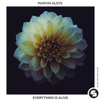 Marvin Aloys - Everything Is Alive