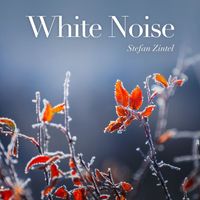Stefan Zintel - White Noise (White Noise to Help You Focus on Reading, Working and Studying.)