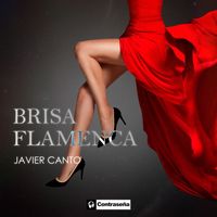 Javier Canto - Brisa Flamenca
