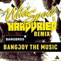 Bangbros - Bangjoy the Music (Wild Specs X Harddried Remix)