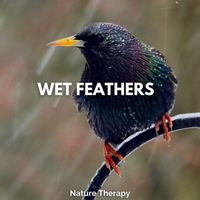 Nature Therapy - Wet Feathers
