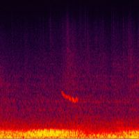 R_R_ - Refrigirated Harmony