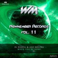 Dj Rosell, Javi Molina - When You´re Gone