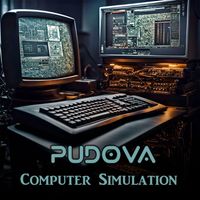 Pudova - Computer Simulation