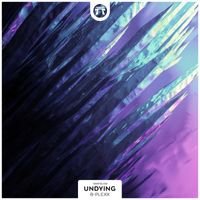 B-PLEXX - Undying