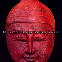 Brain Study Music Guys - 60 Tracks Of Pure Natural Sounds