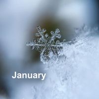 Four Seasons - January
