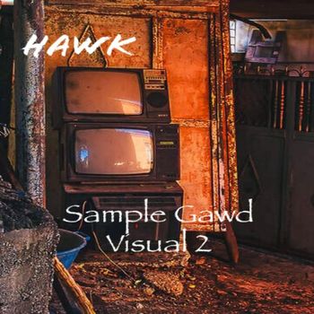 Hawk - Sample Gawd: Visual 2