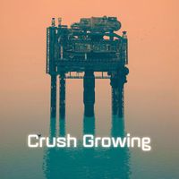 NS Records - Crush Growing