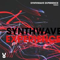 Various Artists - Synthwave Experience