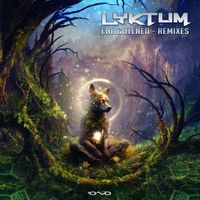 Lyktum - Enlightened Remixes